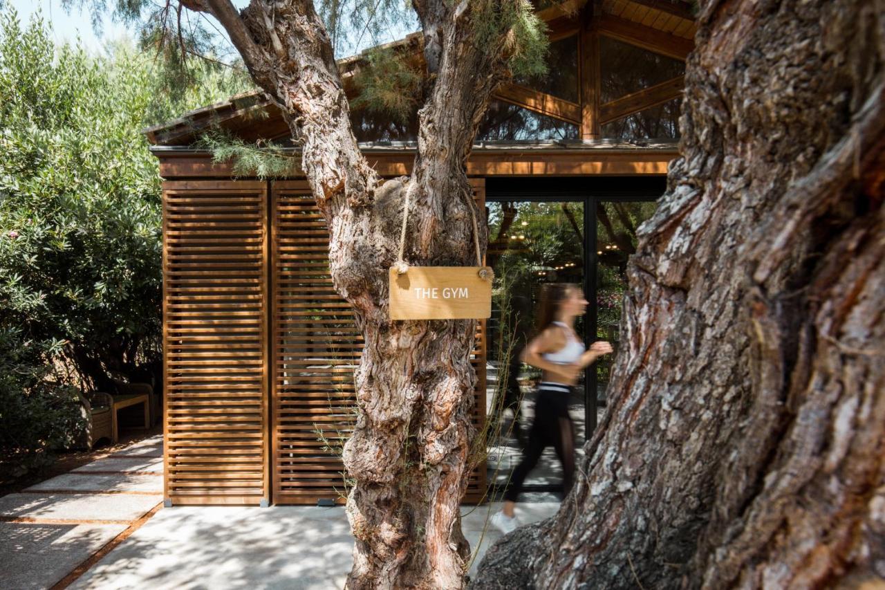 Phaea Cretan Malia, A Member Of Design Resort