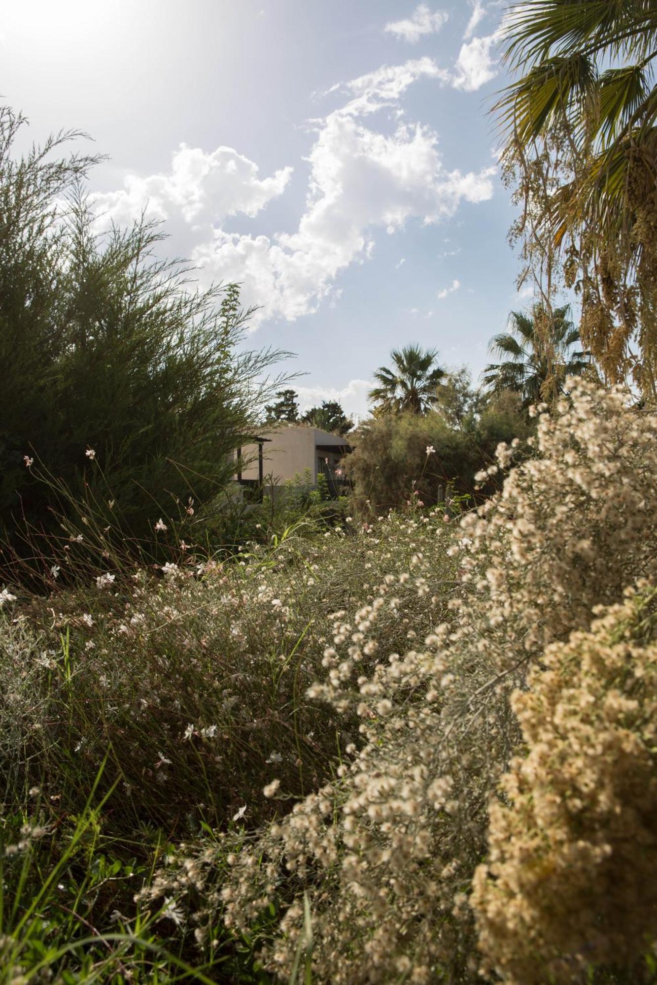 Phaea Cretan Malia, A Member Of Design Resort Malia (Crete)